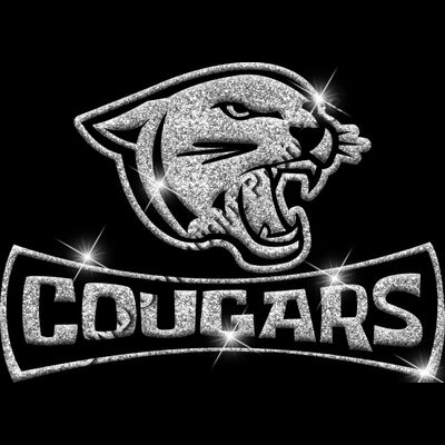 GLT94 SILVER GLITTER Thumbnail